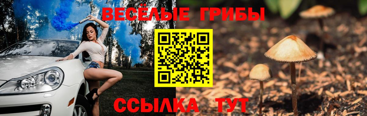 Галлюциногенные грибы мухоморы  Вход с VPN  Балтийск 