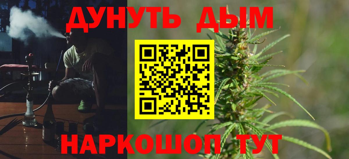 Шишки марихуана планчик  Вход с VPN  Бошки Шишки Bruce Banner  Каннабис сатива  Балтийск 